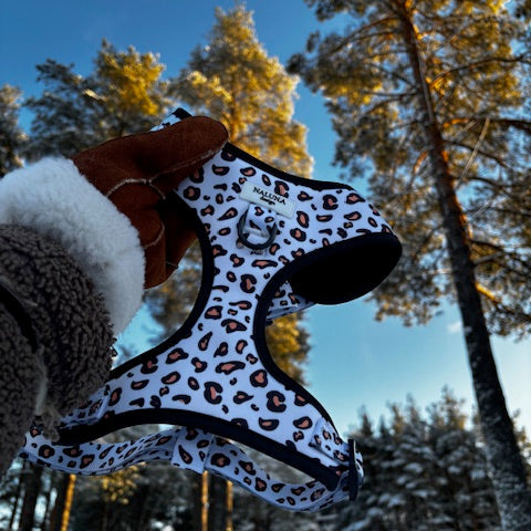Wild Leopard Harness