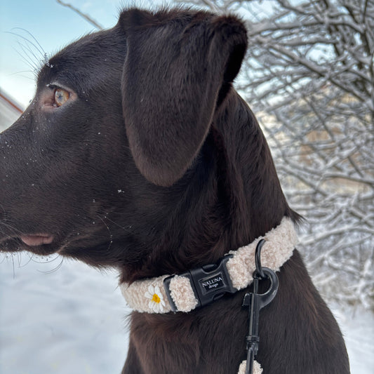 Floral Hug Collar