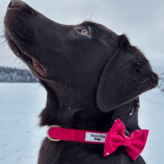 Cherry Kiss Collar