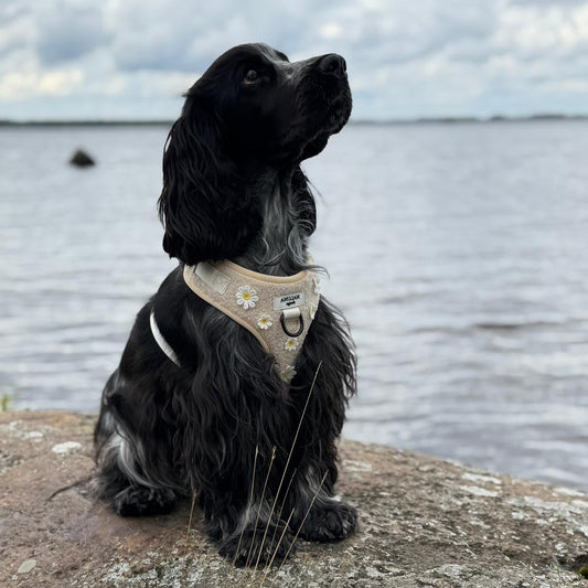 Floral Hug Harness